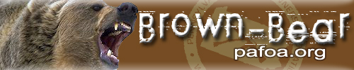 brownbear.jpg