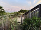IMG 7565