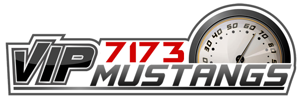 7173vip logo